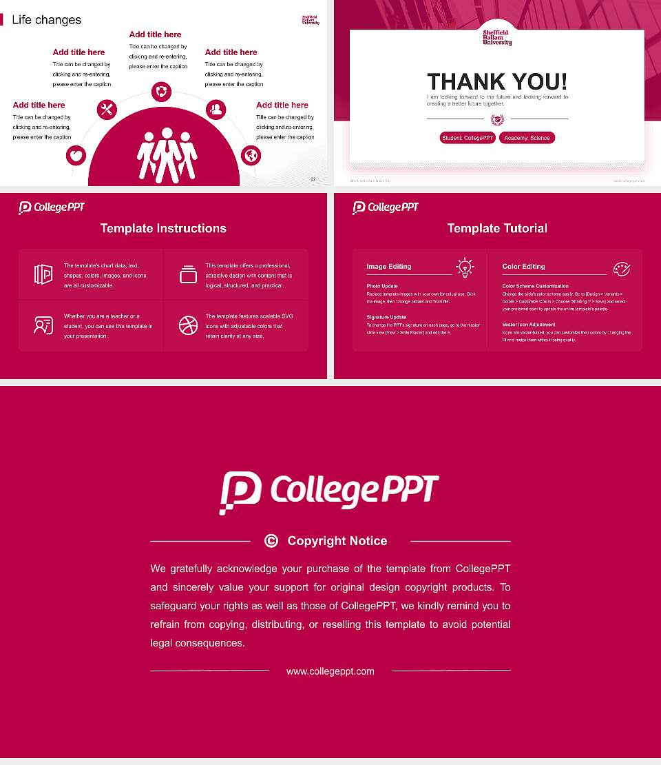 Sheffield Hallam University National Scholarship Defense PPT Template16:9 ratio PPT effect preview image4