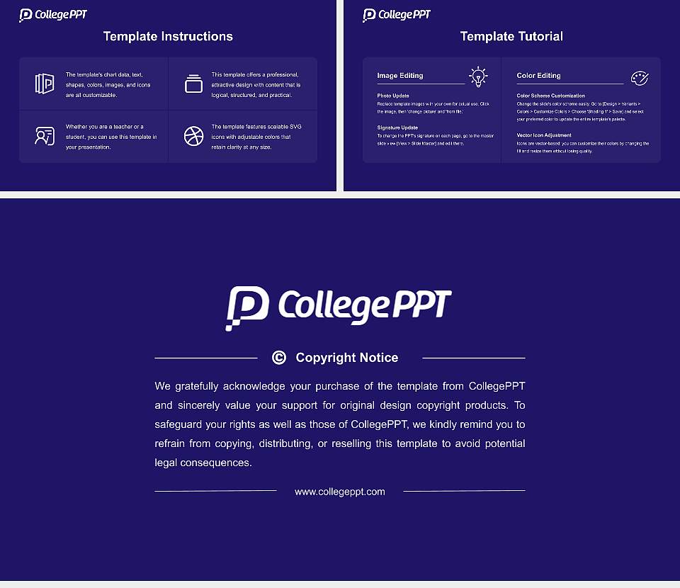 Birmingham City University Academic Presentation/Research Findings Report PPT Template16:9 ratio PPT effect preview image5