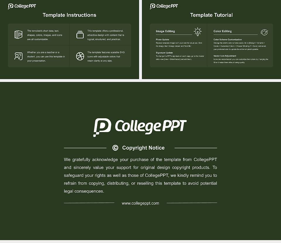 Japan College of Social Work Course/Courseware Creation PPT Template16:9 ratio PPT effect preview image5