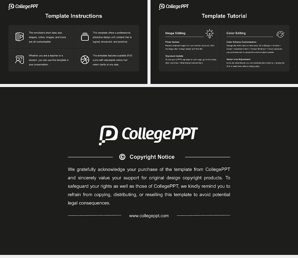 National School of Public Administration Academic Presentation/Research Findings Report PPT Template16:9 ratio PPT effect preview image5