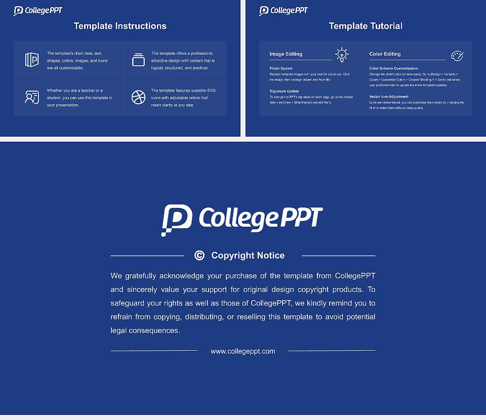 International Pacific University Course/Courseware Creation PPT Template16:9 ratio PPT effect preview image5