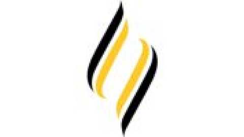 Avondale University