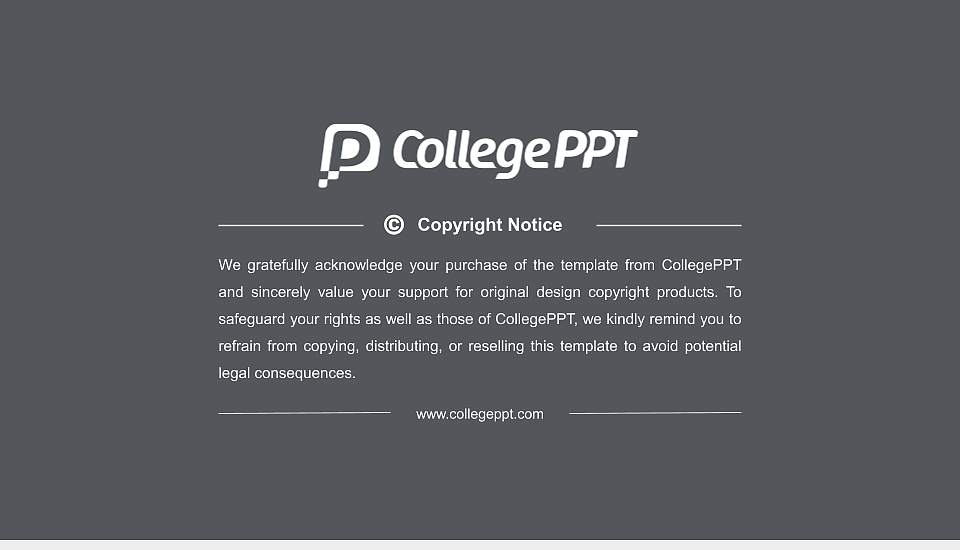 University of Twente Resume PPT Template16:9 ratio PPT effect preview image5