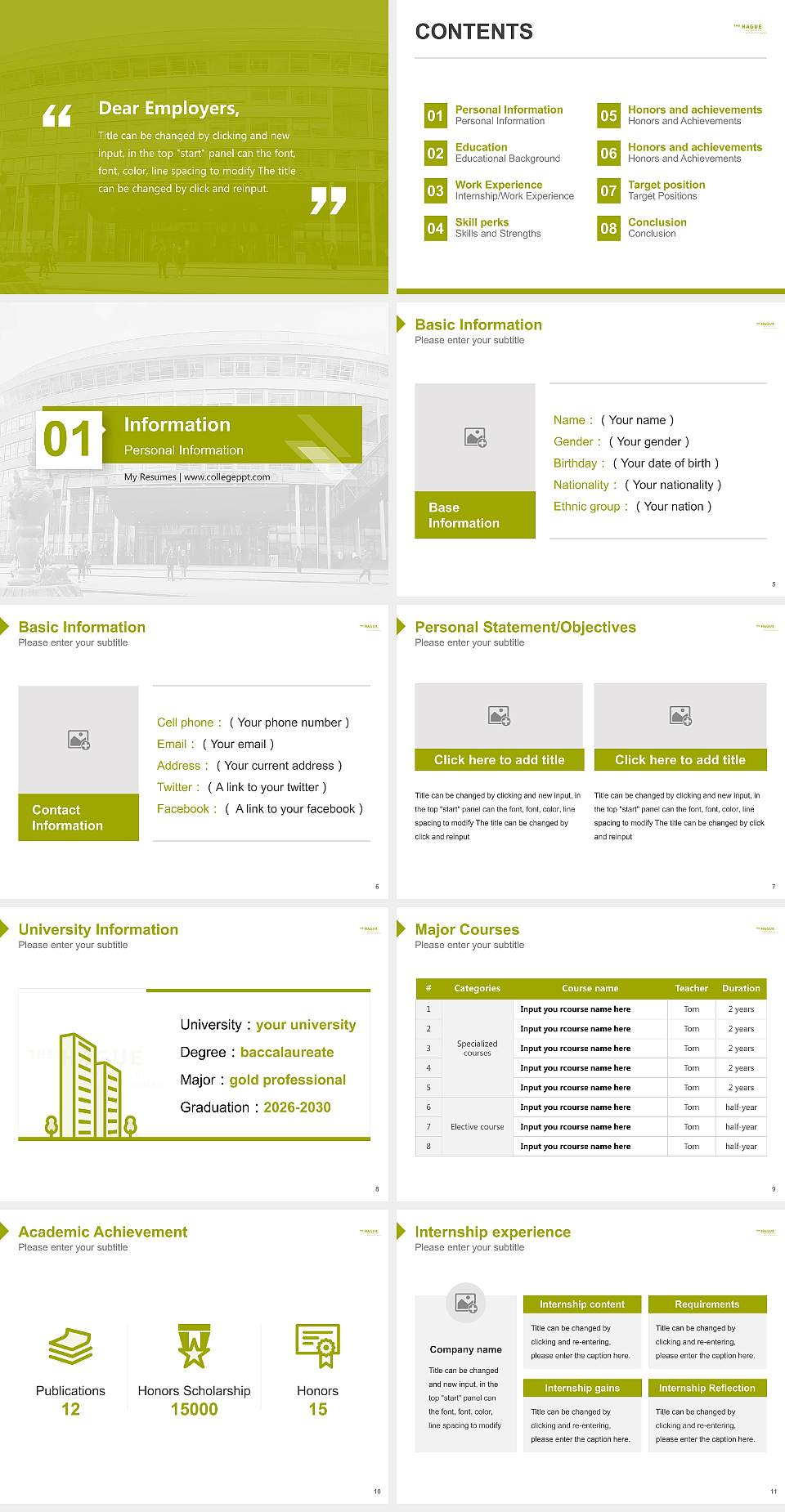 The Hague University of Applied Sciences Resume PPT Template4:3 ratio PPT effect preview image2