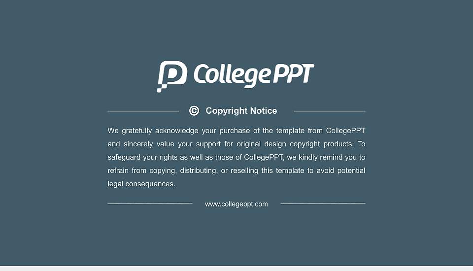Theological University of Kampen Resume PPT Template16:9 ratio PPT effect preview image5