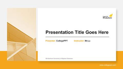 Windesheim University of Applied Sciences General Purpose PPT Template