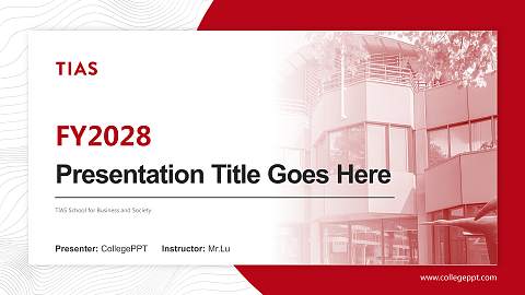 TIAS School for Business and Society Academic Presentation/Research Findings Report PPT Template