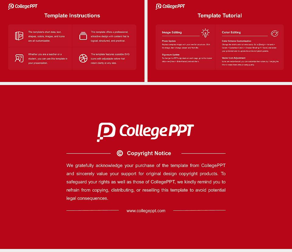 TIAS School for Business and Society Academic Presentation/Research Findings Report PPT Template16:9 ratio PPT effect preview image5