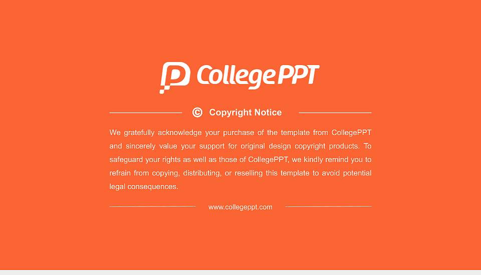 Thomas More Hogeschool Resume PPT Template16:9 ratio PPT effect preview image5