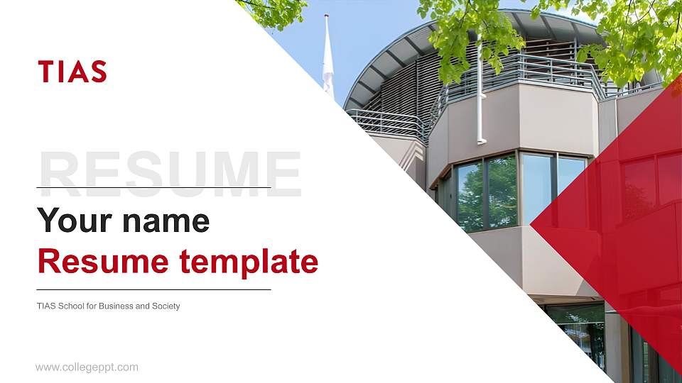 TIAS School for Business and Society Resume PPT Template16:9 ratio PPT effect preview image