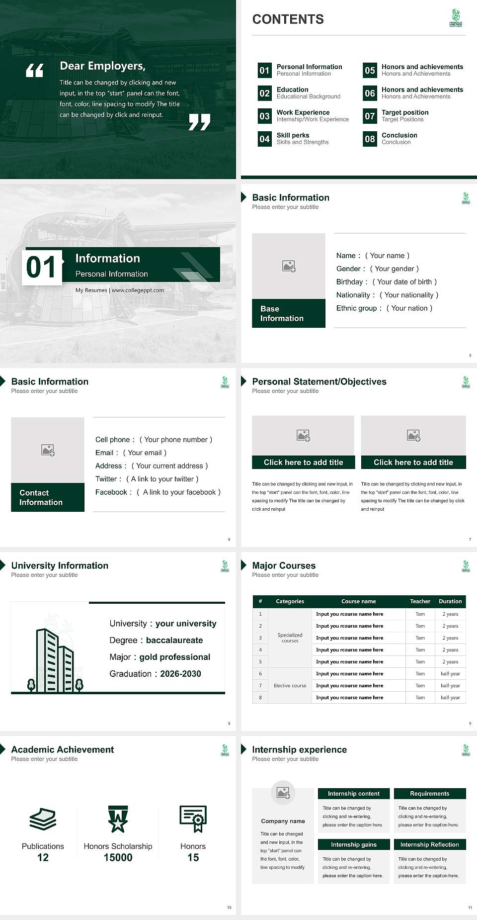 University of Limerick Resume PPT Template4:3 ratio PPT effect preview image2
