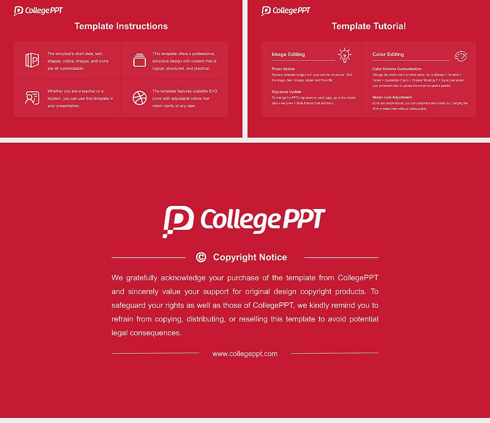 Saint Patrick’s College, Maynooth Course/Courseware Creation PPT Template16:9 ratio PPT effect preview image5