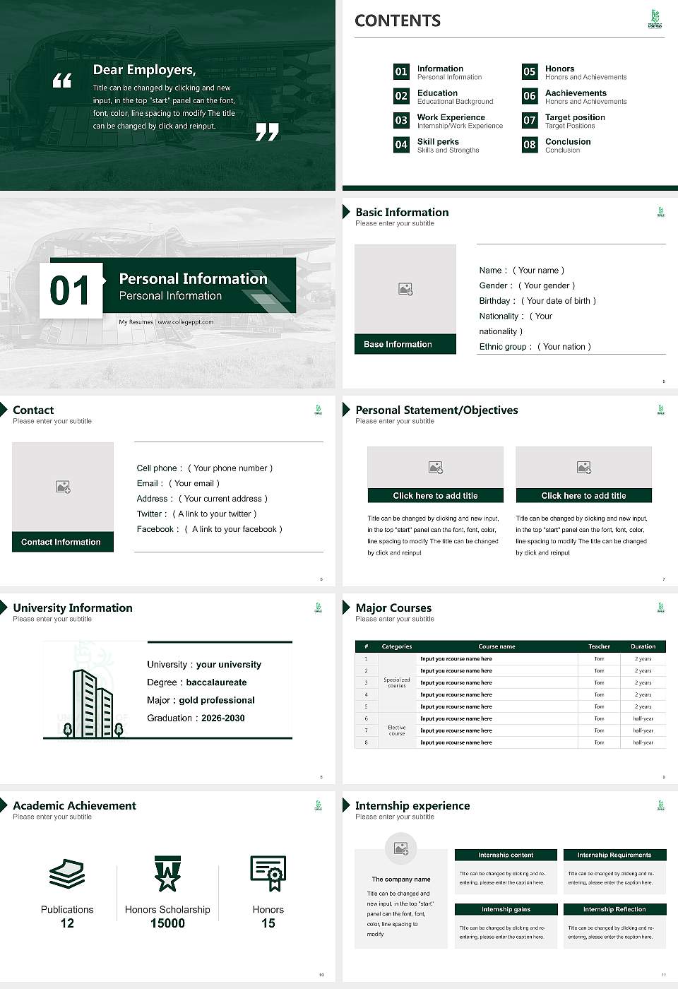 University of Limerick Resume PPT Template16:9 ratio PPT effect preview image2