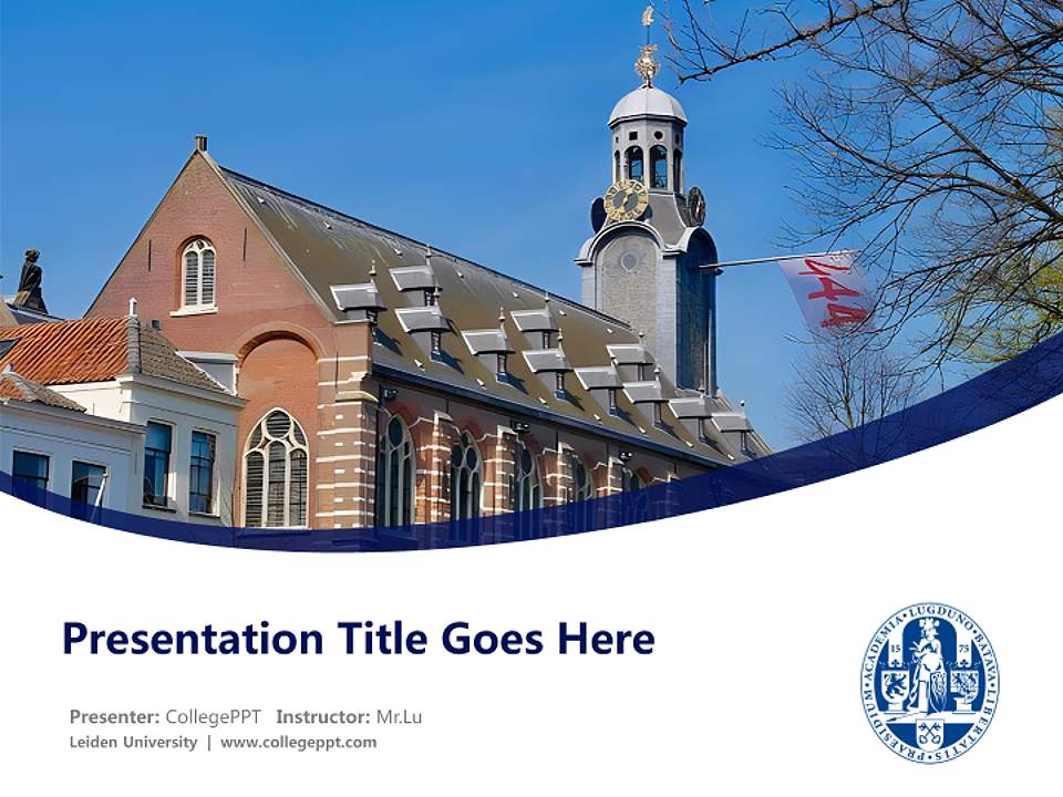 Leiden University Course/Courseware Creation PPT Template4:3 ratio PPT effect preview image5