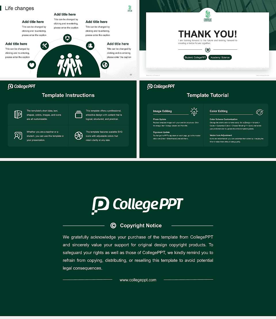 University of Limerick National Scholarship Defense PPT Template16:9 ratio PPT effect preview image4