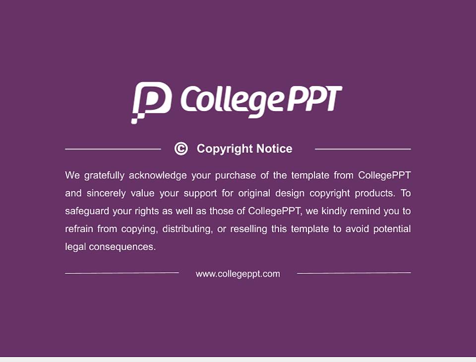 Fontys University of Applied Sciences Resume PPT Template4:3 ratio PPT effect preview image5