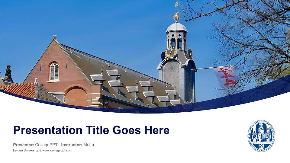 Leiden University Course/Courseware Creation PPT Template16:9 ratio PPT effect preview image