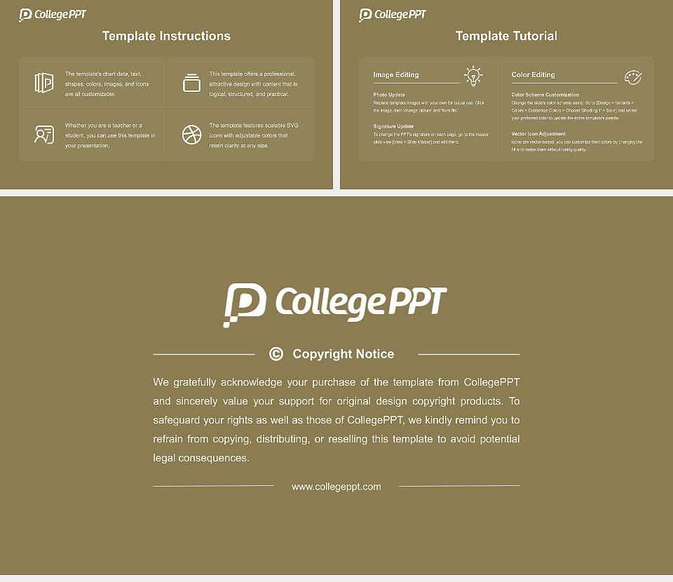 Technological University of the Shannon Course/Courseware Creation PPT Template16:9 ratio PPT effect preview image5