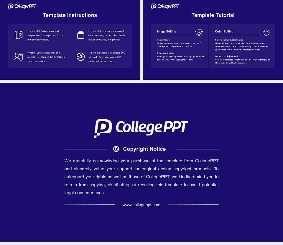 Banasthali Vidyapith Course/Courseware Creation PPT Template16:9 ratio PPT effect preview image5