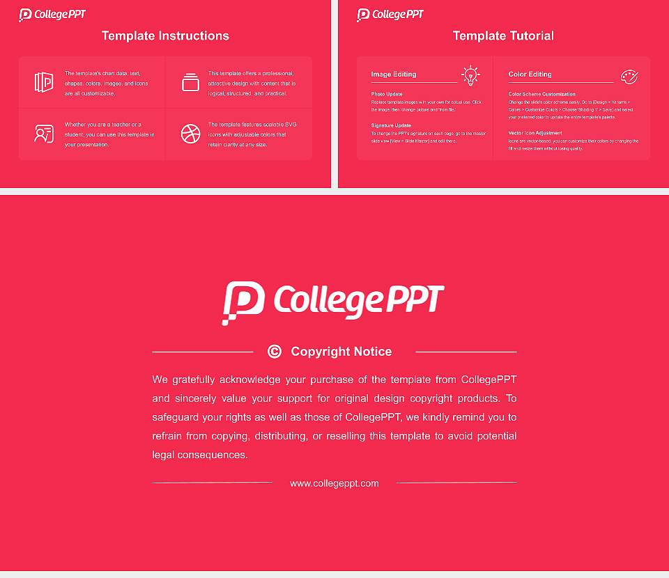 Bareilly International University Course/Courseware Creation PPT Template16:9 ratio PPT effect preview image5