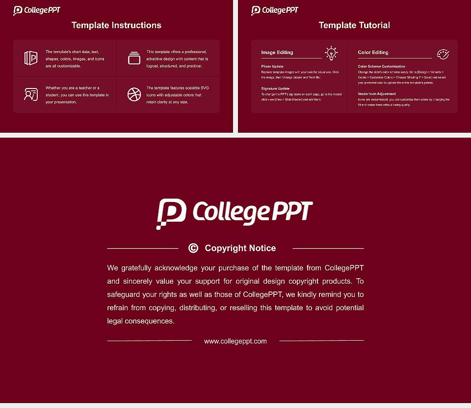 Babasaheb Bhimrao Ambedkar Bihar University Course/Courseware Creation PPT Template16:9 ratio PPT effect preview image5