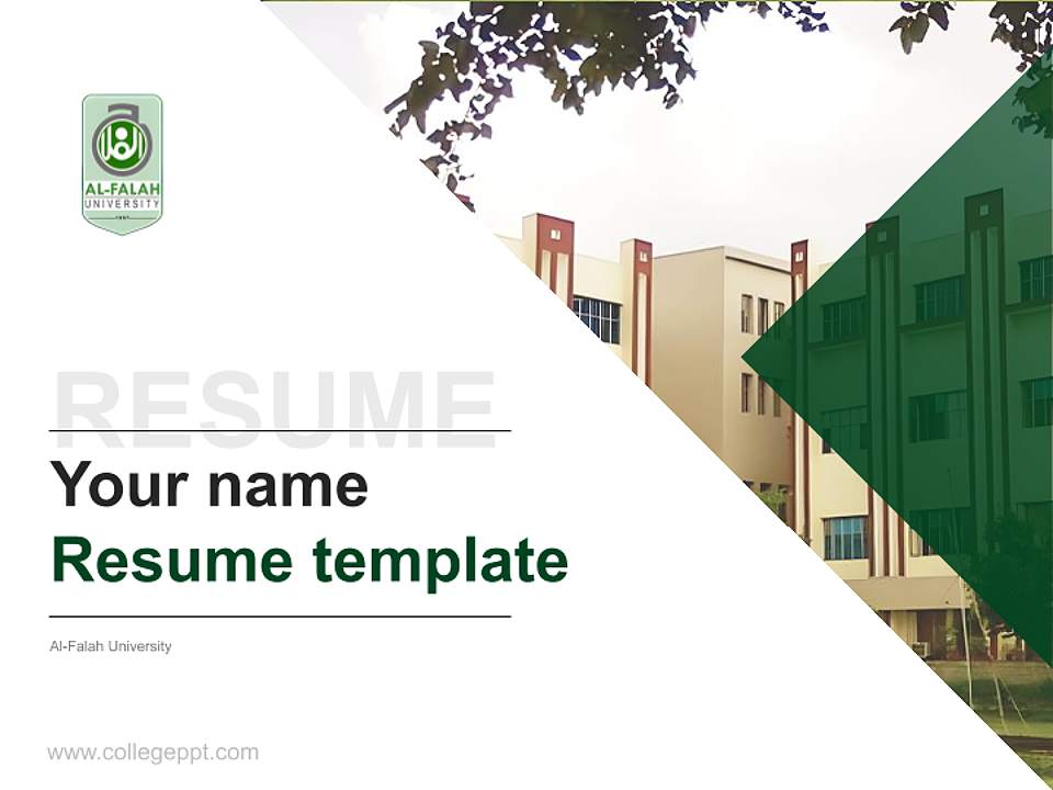 Al-Falah University Resume PPT Template4:3 ratio PPT effect preview image5