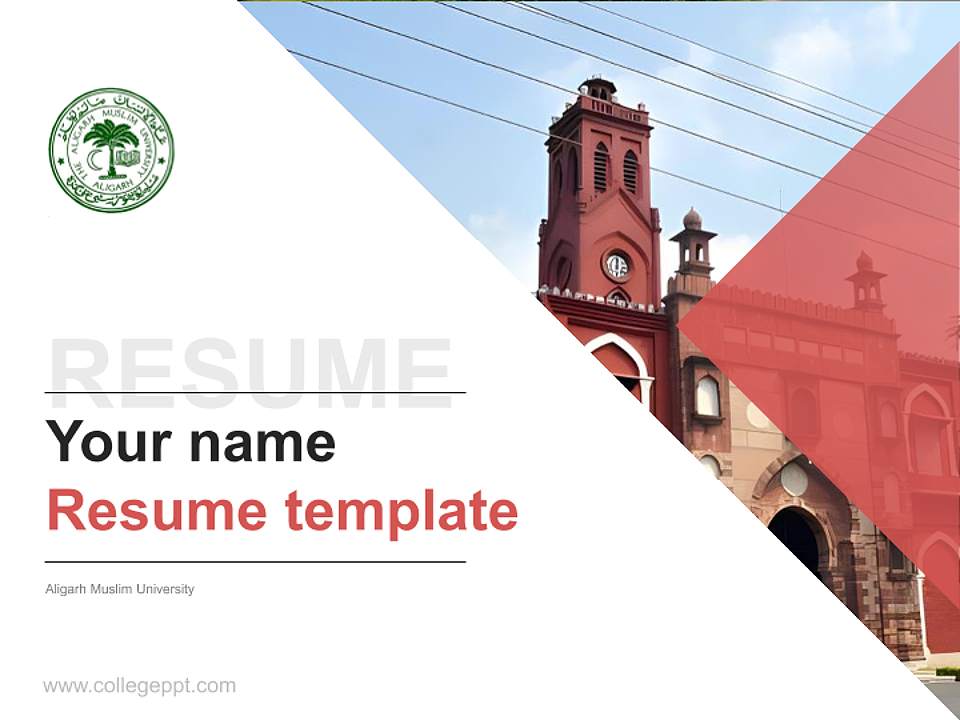 Aligarh Muslim University Resume PPT Template4:3 ratio PPT effect preview image5