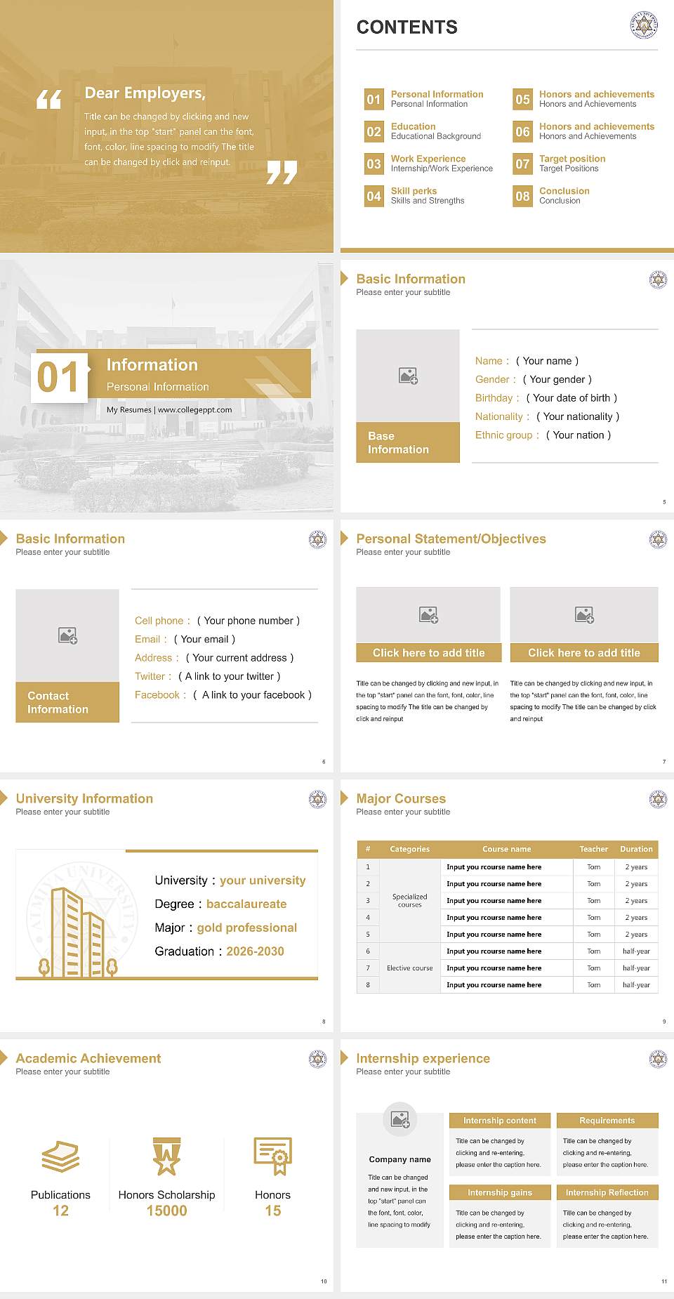 Atmiya University Resume PPT Template4:3 ratio PPT effect preview image2