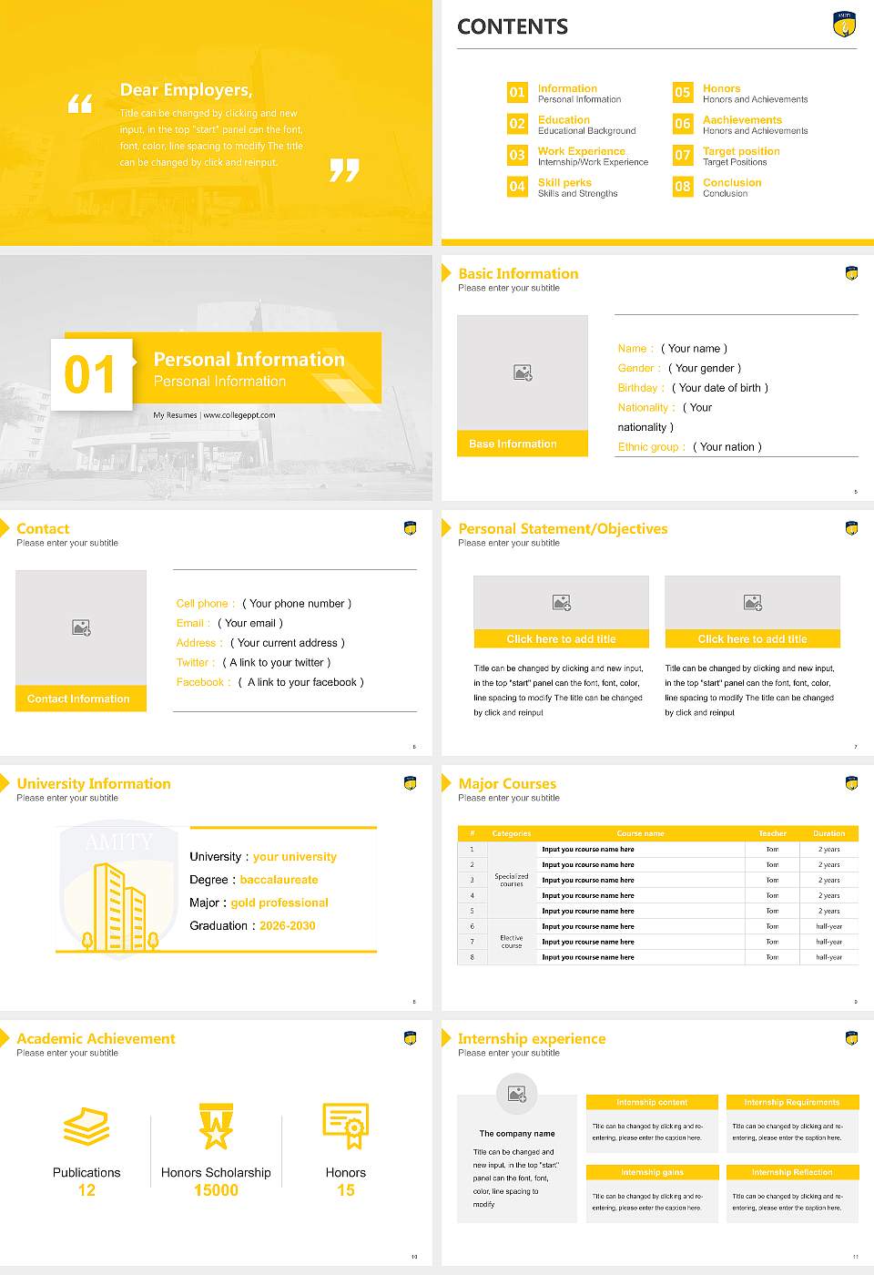 Amity University (Rajasthan) Resume PPT Template16:9 ratio PPT effect preview image2