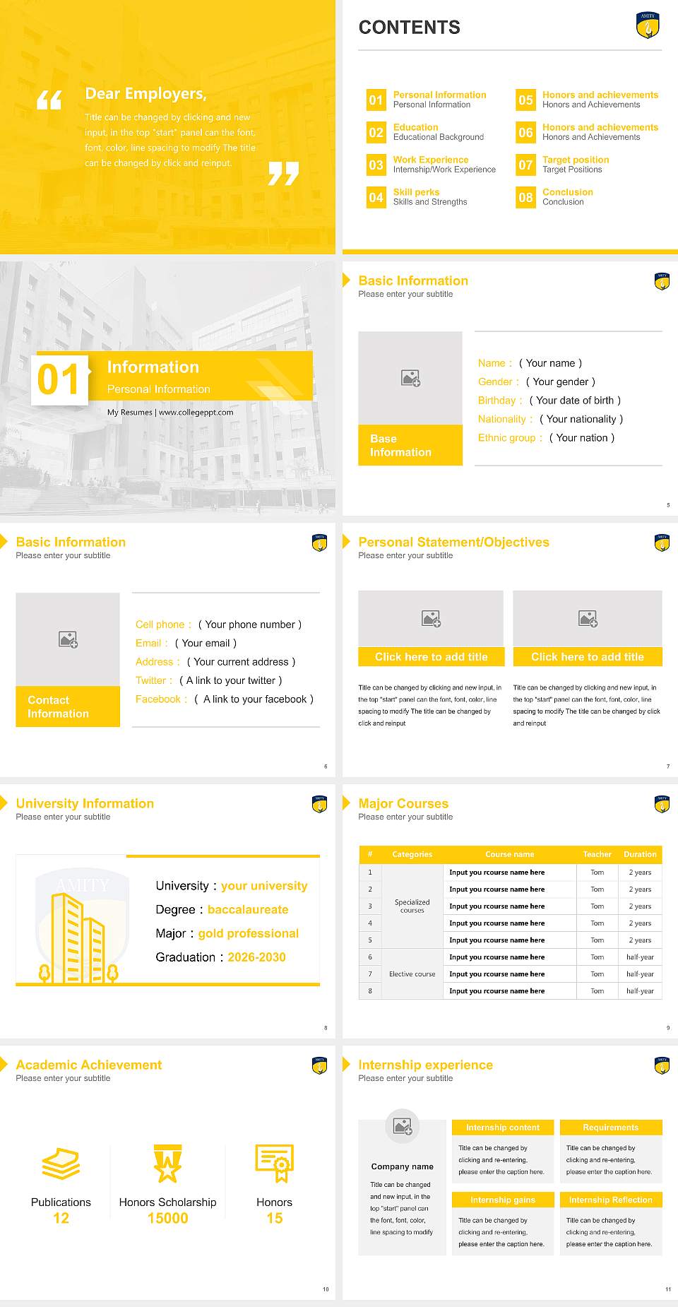 Amity University Noida Resume PPT Template4:3 ratio PPT effect preview image2