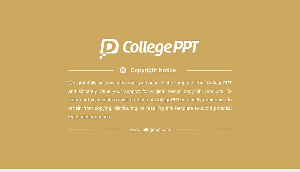 Atmiya University Resume PPT Template16:9 ratio PPT effect preview image5