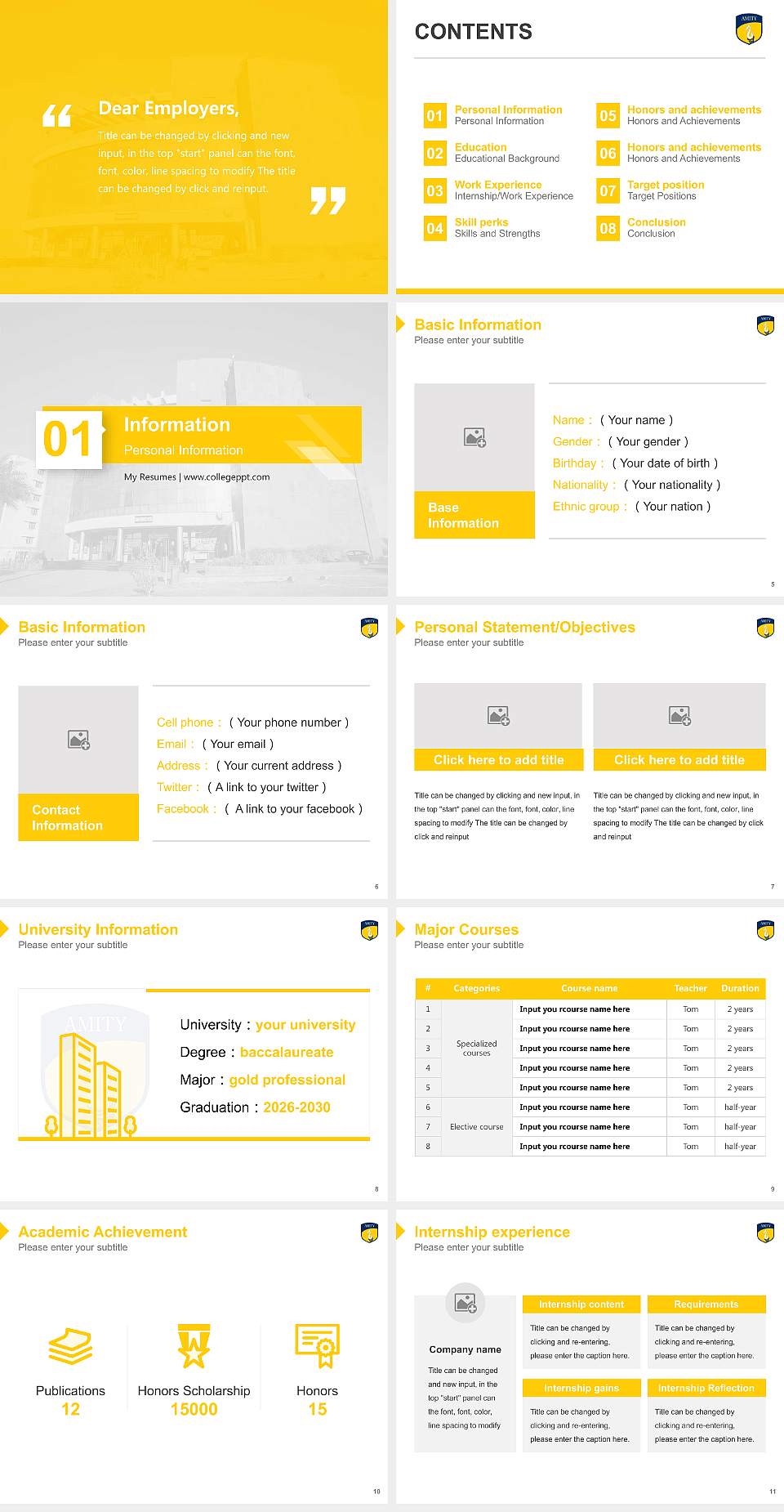Amity University (Rajasthan) Resume PPT Template4:3 ratio PPT effect preview image2