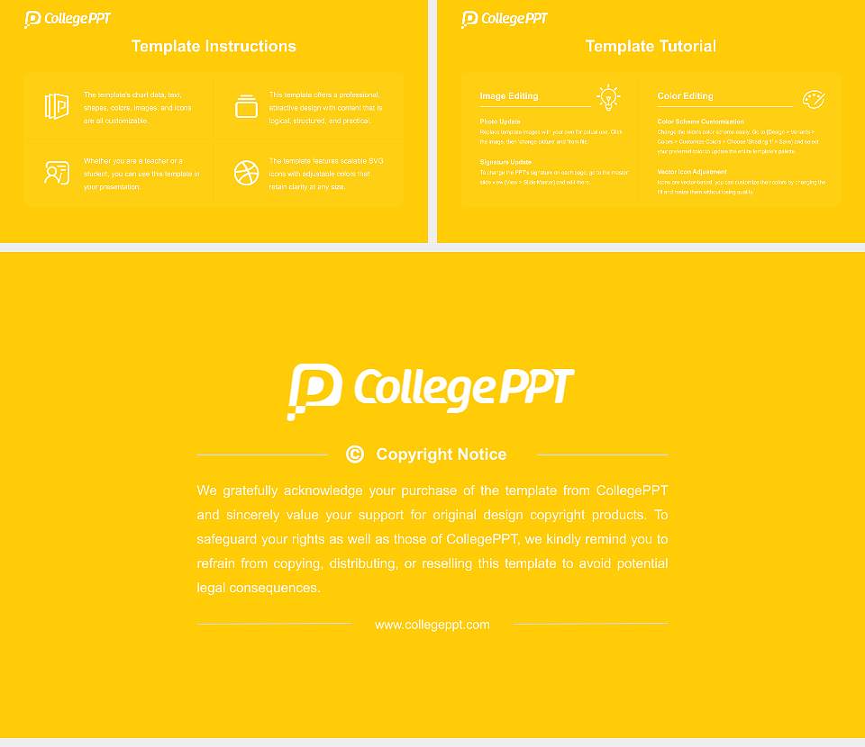 Amity University (Maharashtra) Course/Courseware Creation PPT Template16:9 ratio PPT effect preview image5