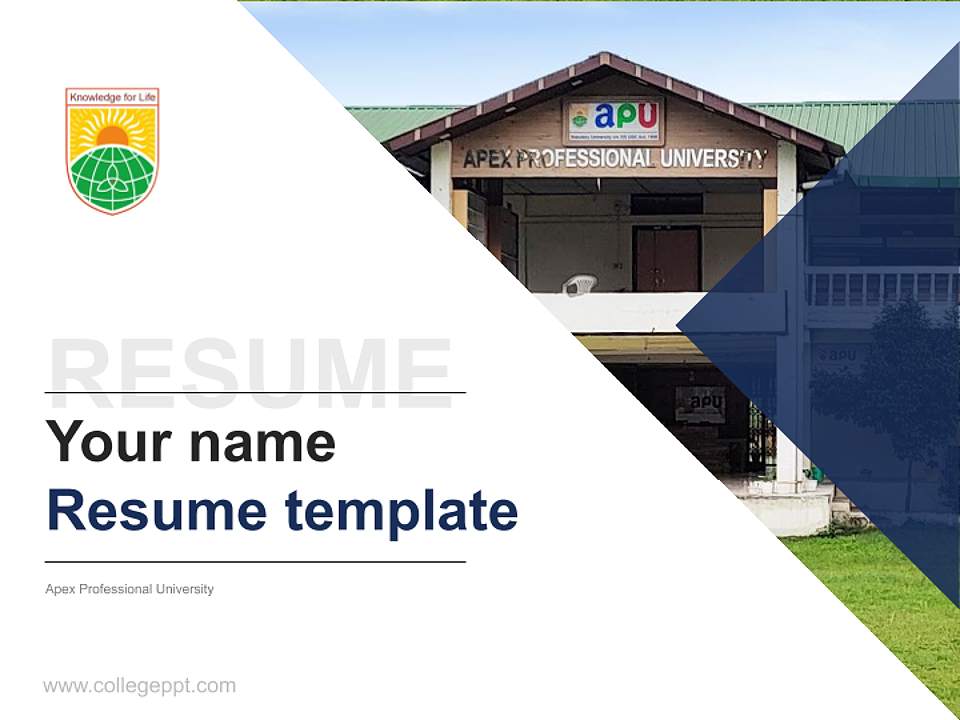 Apex Professional University Resume PPT Template4:3 ratio PPT effect preview image5