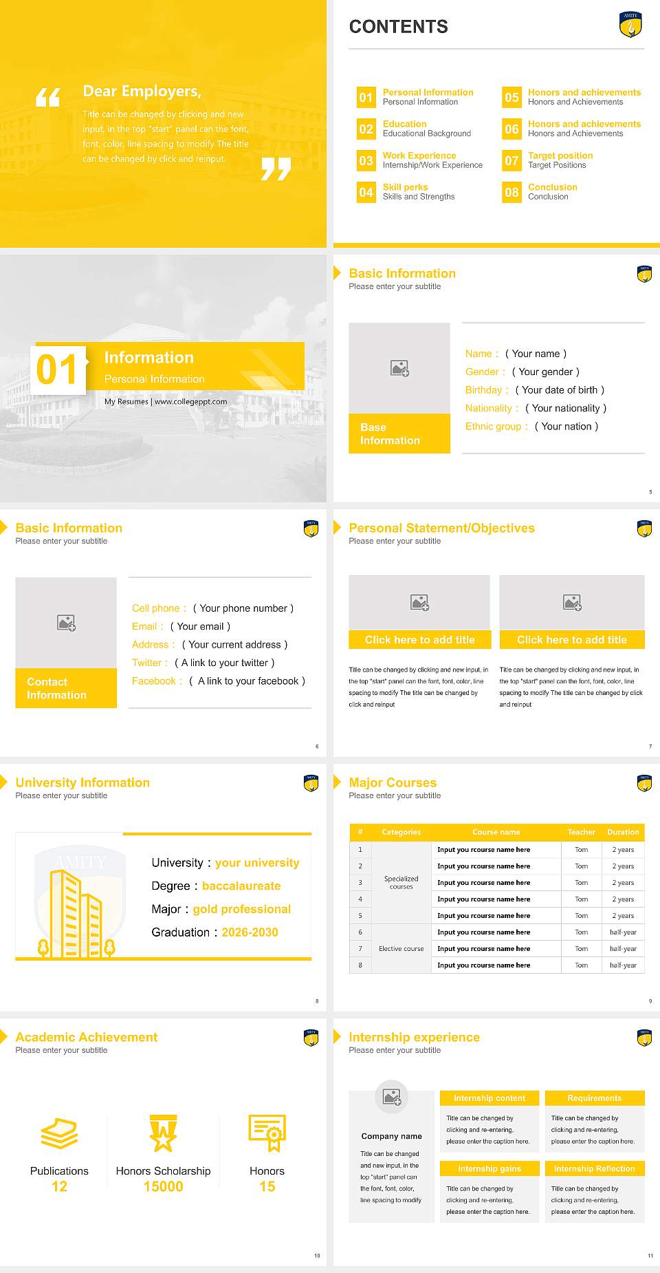 Amity University, Raipur Resume PPT Template4:3 ratio PPT effect preview image2