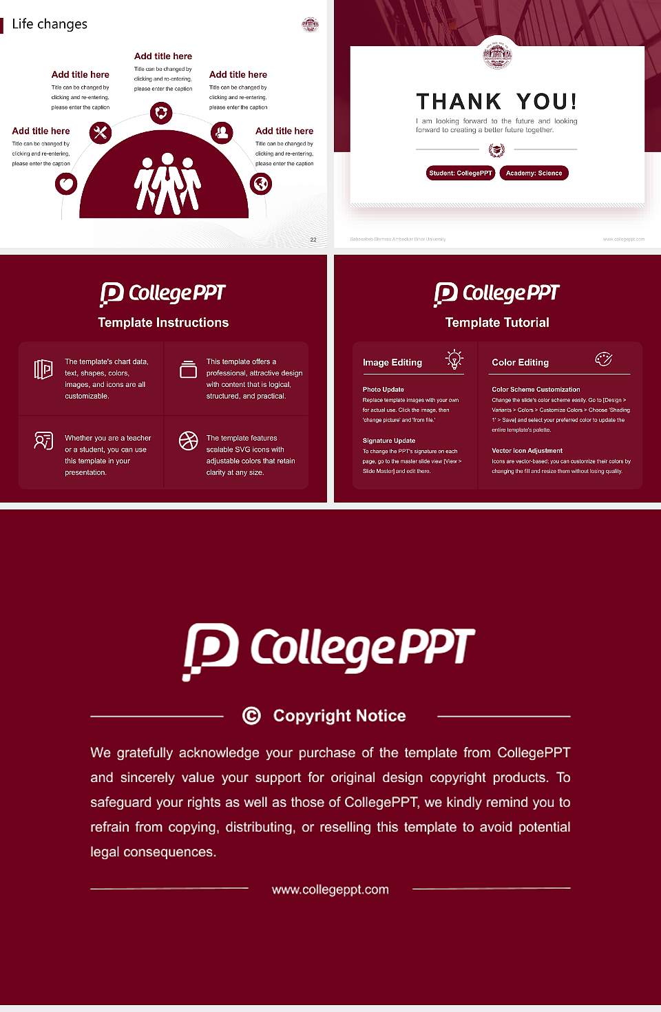 Babasaheb Bhimrao Ambedkar Bihar University National Scholarship Defense PPT Template4:3 ratio PPT effect preview image4