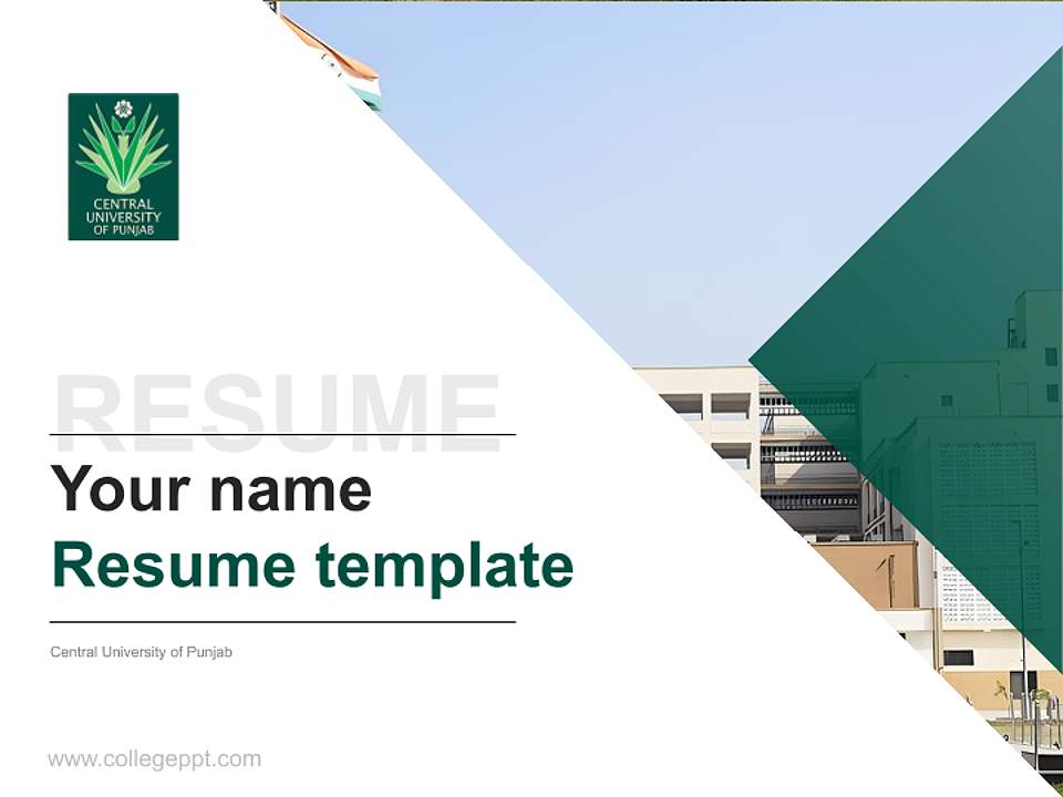 Central University of Punjab Resume PPT Template4:3 ratio PPT effect preview image5
