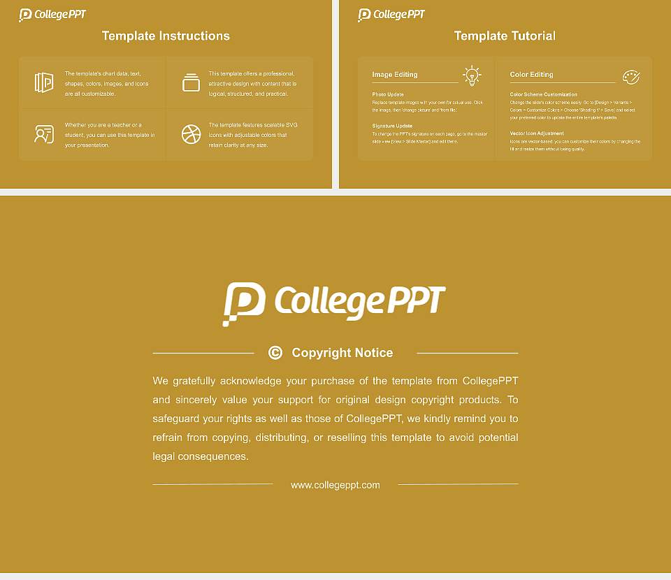 Chanakya University Course/Courseware Creation PPT Template16:9 ratio PPT effect preview image5