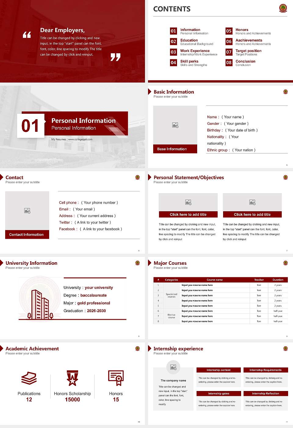 Central University of South Bihar Resume PPT Template16:9 ratio PPT effect preview image2