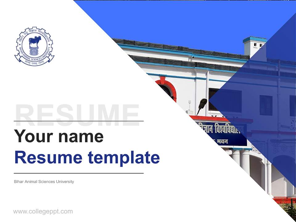 Bihar Animal Sciences University Resume PPT Template4:3 ratio PPT effect preview image5