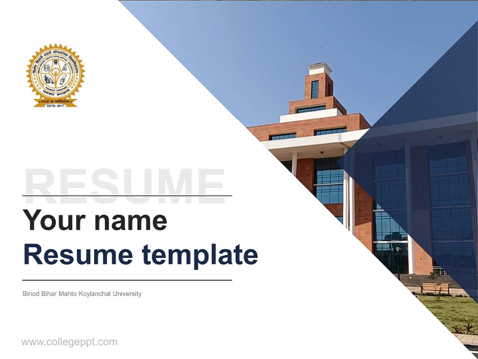 Binod Bihar Mahto Koylanchal University Resume PPT Template4:3 ratio PPT effect preview image5