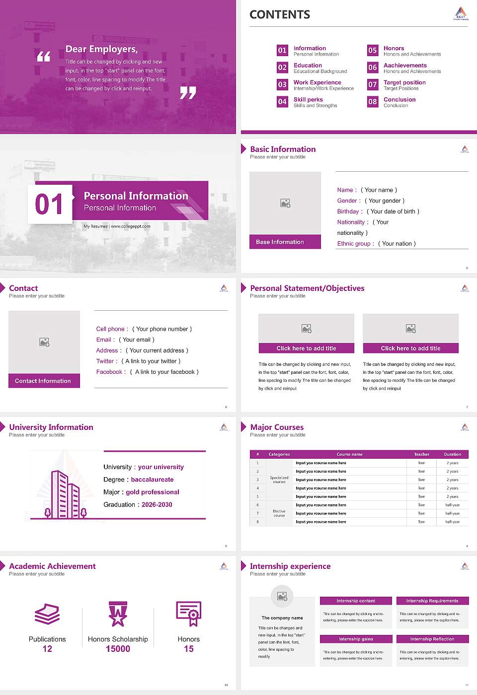 Bharatiya Engineering Science and Technology Innovation University Resume PPT Template16:9 ratio PPT effect preview image2