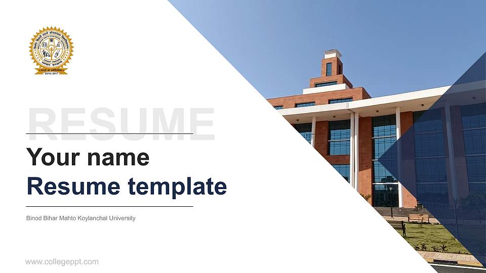 Binod Bihar Mahto Koylanchal University Resume PPT Template16:9 ratio PPT effect preview image