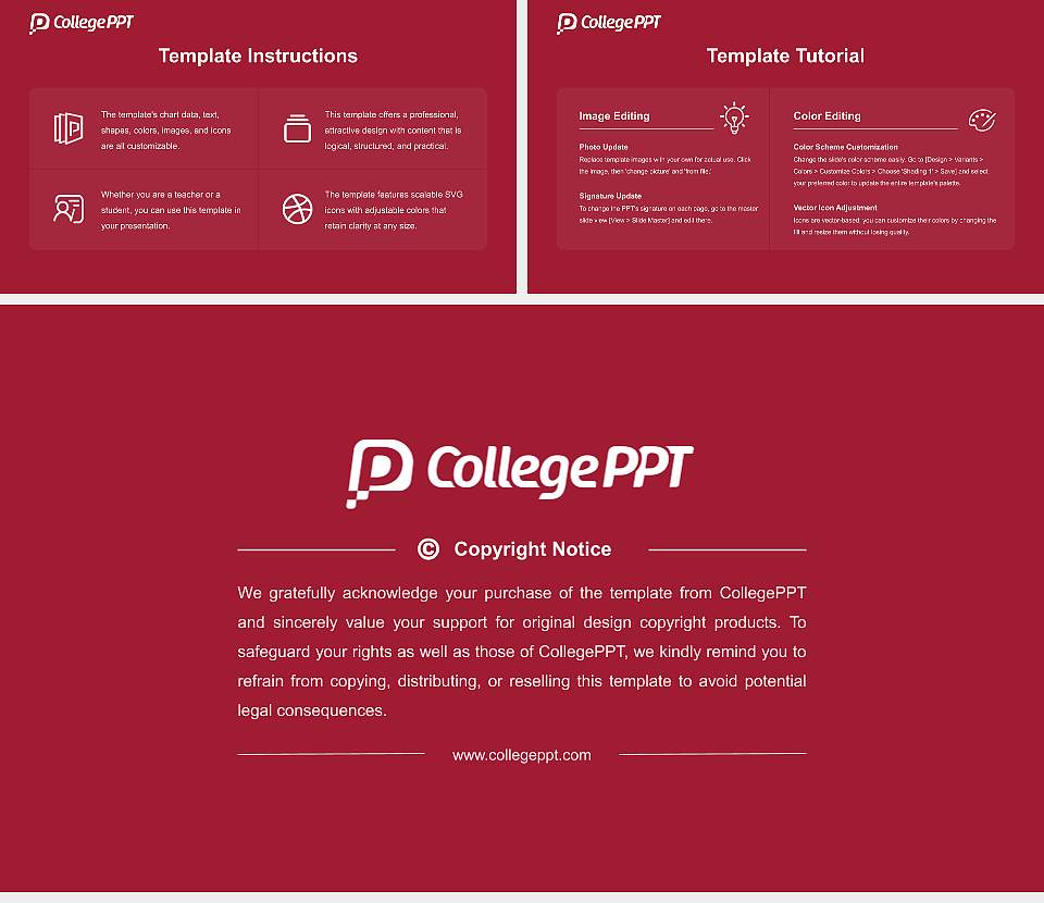 D.Y. Patil University Course/Courseware Creation PPT Template16:9 ratio PPT effect preview image5