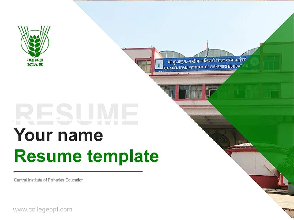 Central Institute of Fisheries Education Resume PPT Template4:3 ratio PPT effect preview image5