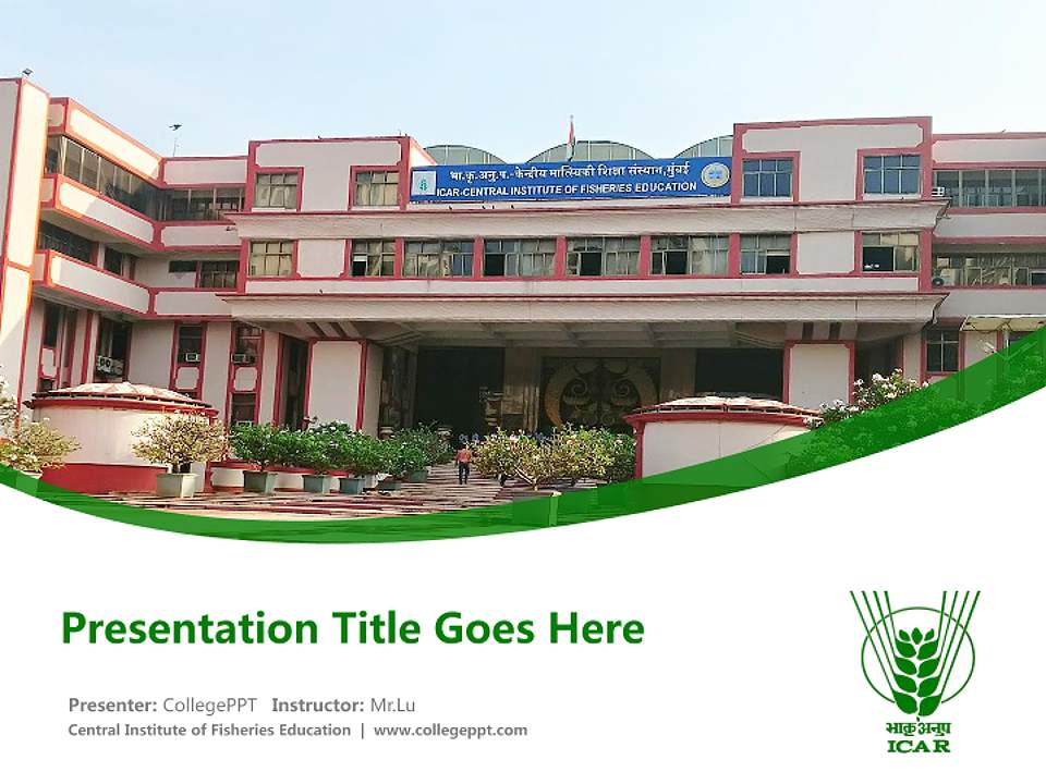 Central Institute of Fisheries Education Course/Courseware Creation PPT Template4:3 ratio PPT effect preview image5