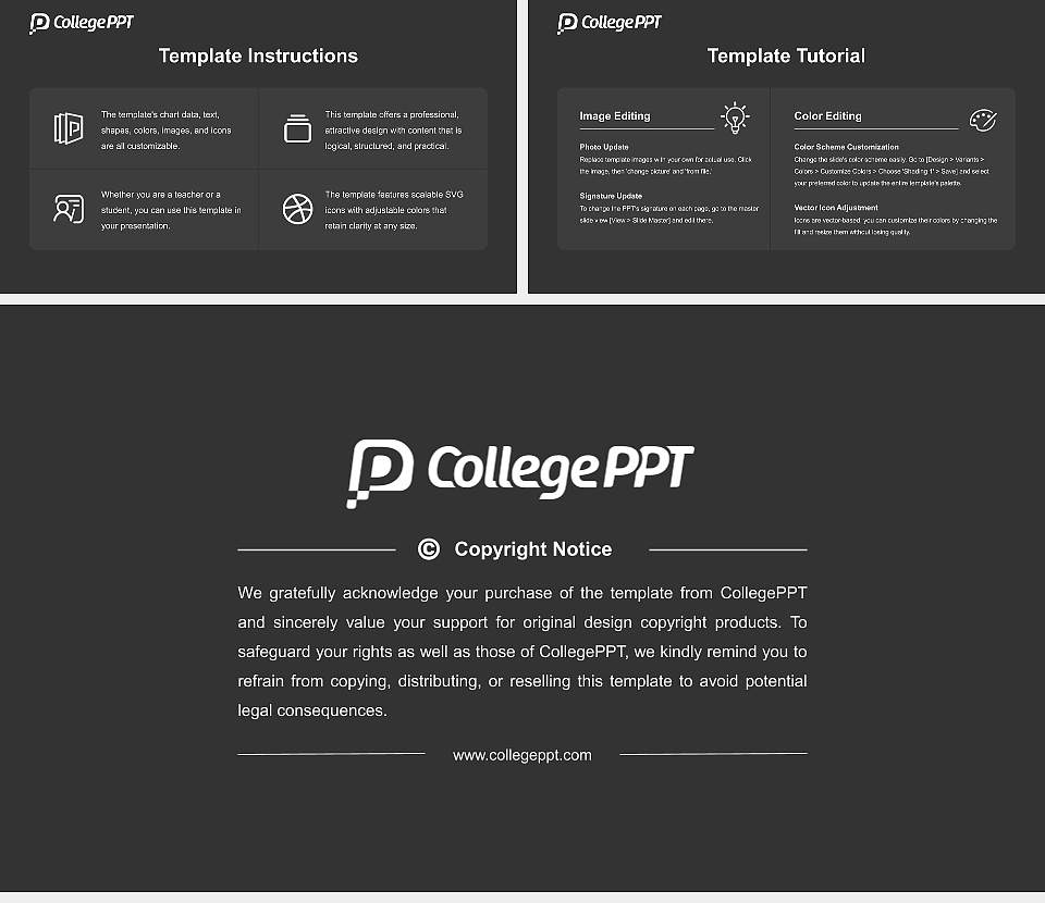 Bhagwant University Academic Presentation/Research Findings Report PPT Template16:9 ratio PPT effect preview image5