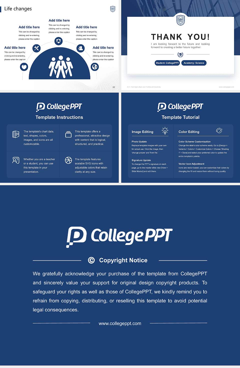 D.Y. Patil Agriculture and Technical University National Scholarship Defense PPT Template4:3 ratio PPT effect preview image4