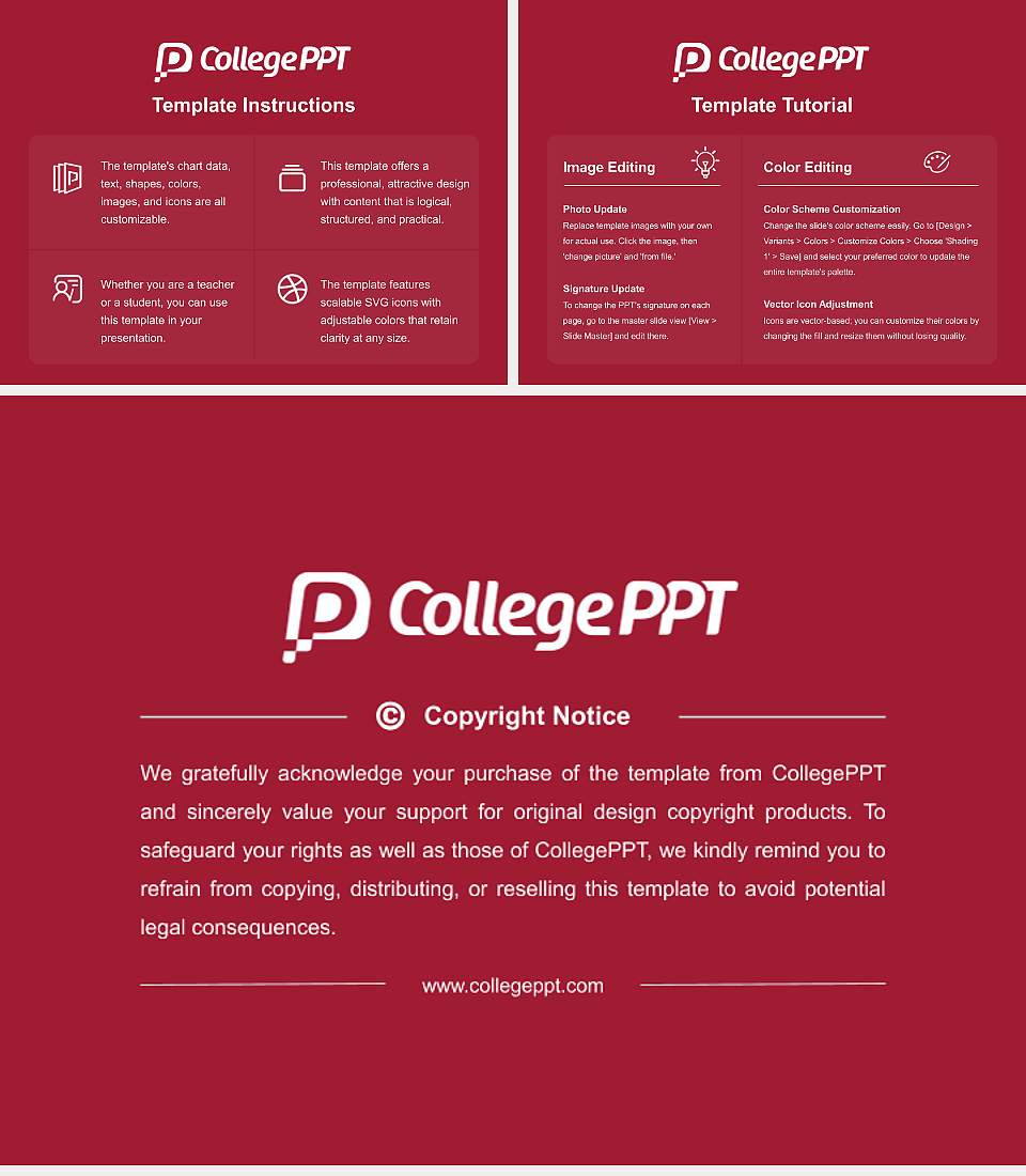 D.Y. Patil University Course/Courseware Creation PPT Template4:3 ratio PPT effect preview image5