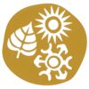 Chanakya University